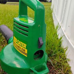 Electric Blower 