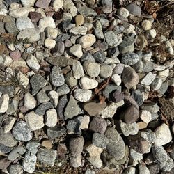 Gray Pebbles