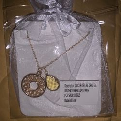 Circle Of Life Birthstone Crystal Pendant w/ Circle Charm Necklace (NOVEMBER)