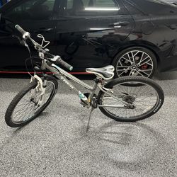 Trek Mountain Bike