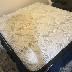 King Mattress With Electric Bed Frame