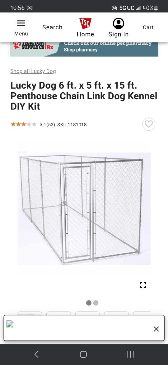 Chain Link Dog Kennel
