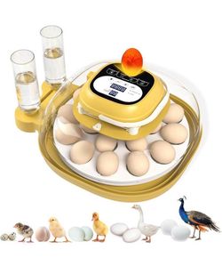 Incubators for Hatching Eggs
