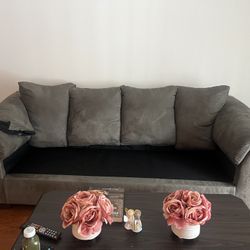 Sofa FREE - Needs Cushions 