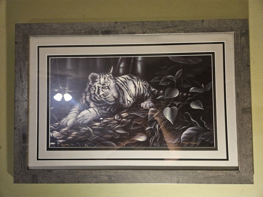 Framed White Tiger Artwork Print