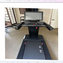 Sunny Health & Fitness Treadmill Train Your Body at Home animal power