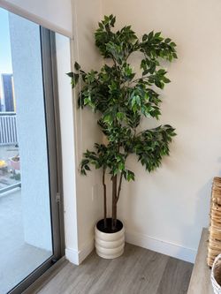 Large Artificial Ficus Tree with White Ceramic Pot
