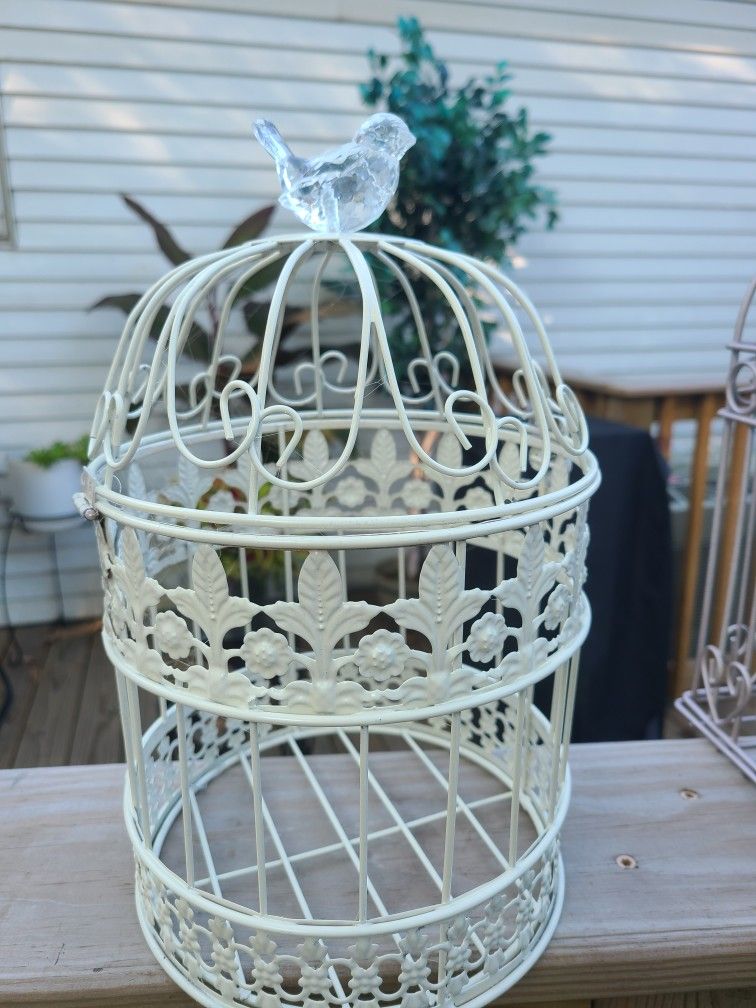 Bird Cages 