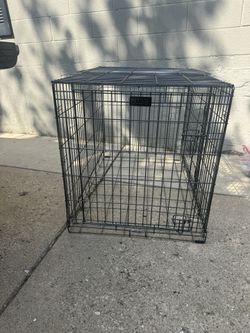 dog crate 