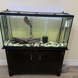 Fish Tank and Stand