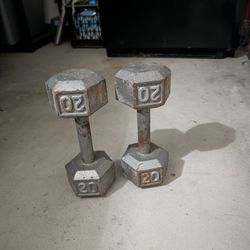 20 Lb Dumbell