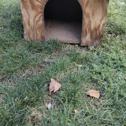 Dog House 