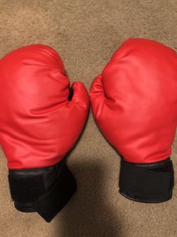 Training Boxing Gloves