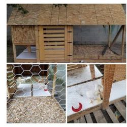 4x10 Chicken House 