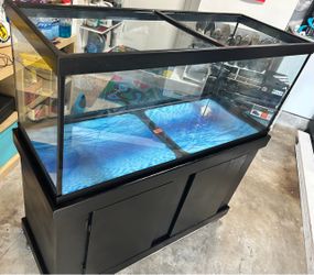 75-gallon rectangular aquarium with stand