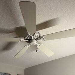 Ceiling Fan