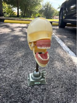 Dentist items