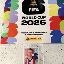 World cup Panini Stickers