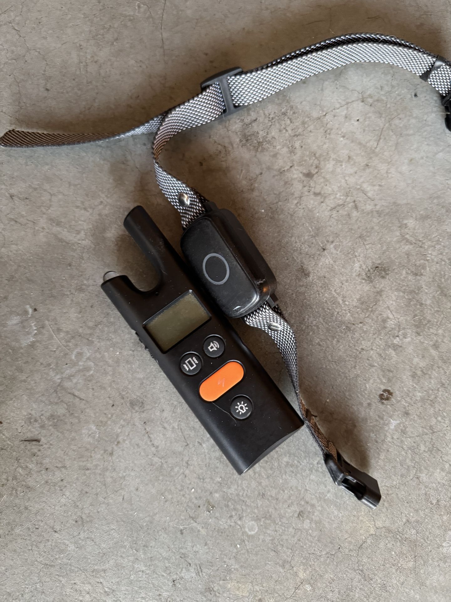 Dog Electric Collar