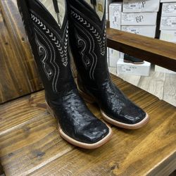 avestruz negro original 