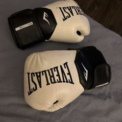 Boxing Gloves EVERLAST 