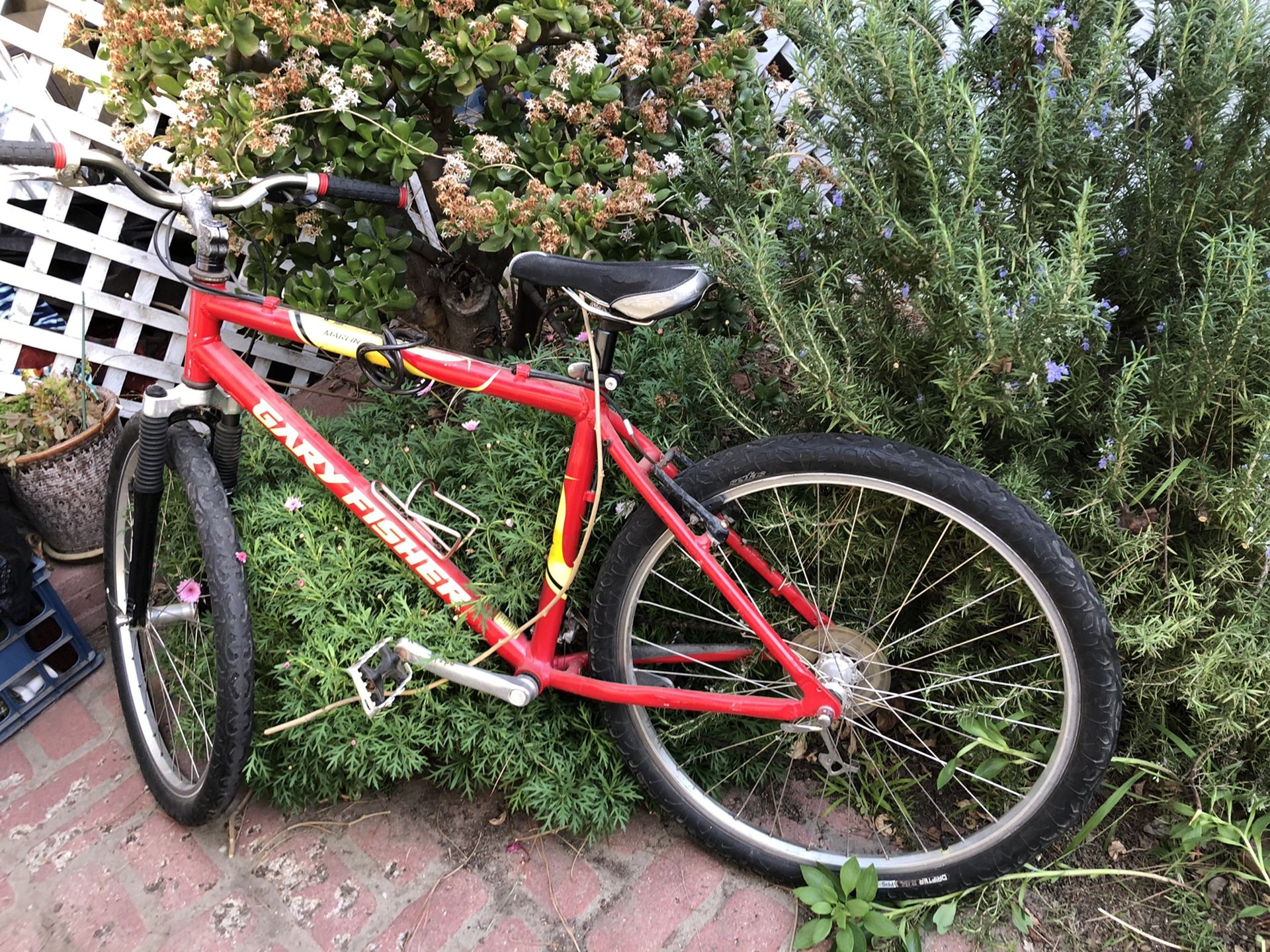 Gary fisher marlin bike