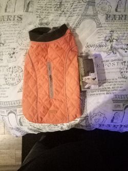 Dog Jacket & Dog Shoes