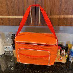 Cooler bag 16” x 9.5”