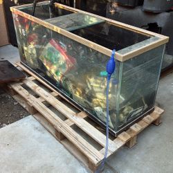 120 Gallons Fish Tank 
