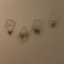 Artificial Air Plants Wall Decorations