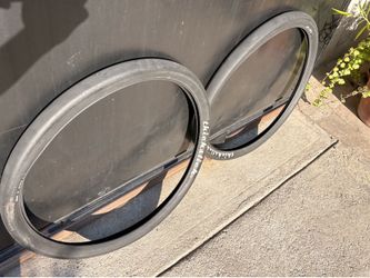 29er Freedom Thickslick Used