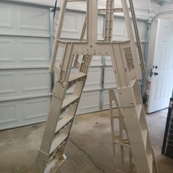 Pool Ladder 