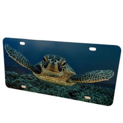 License Plate Turtle Sea Creature