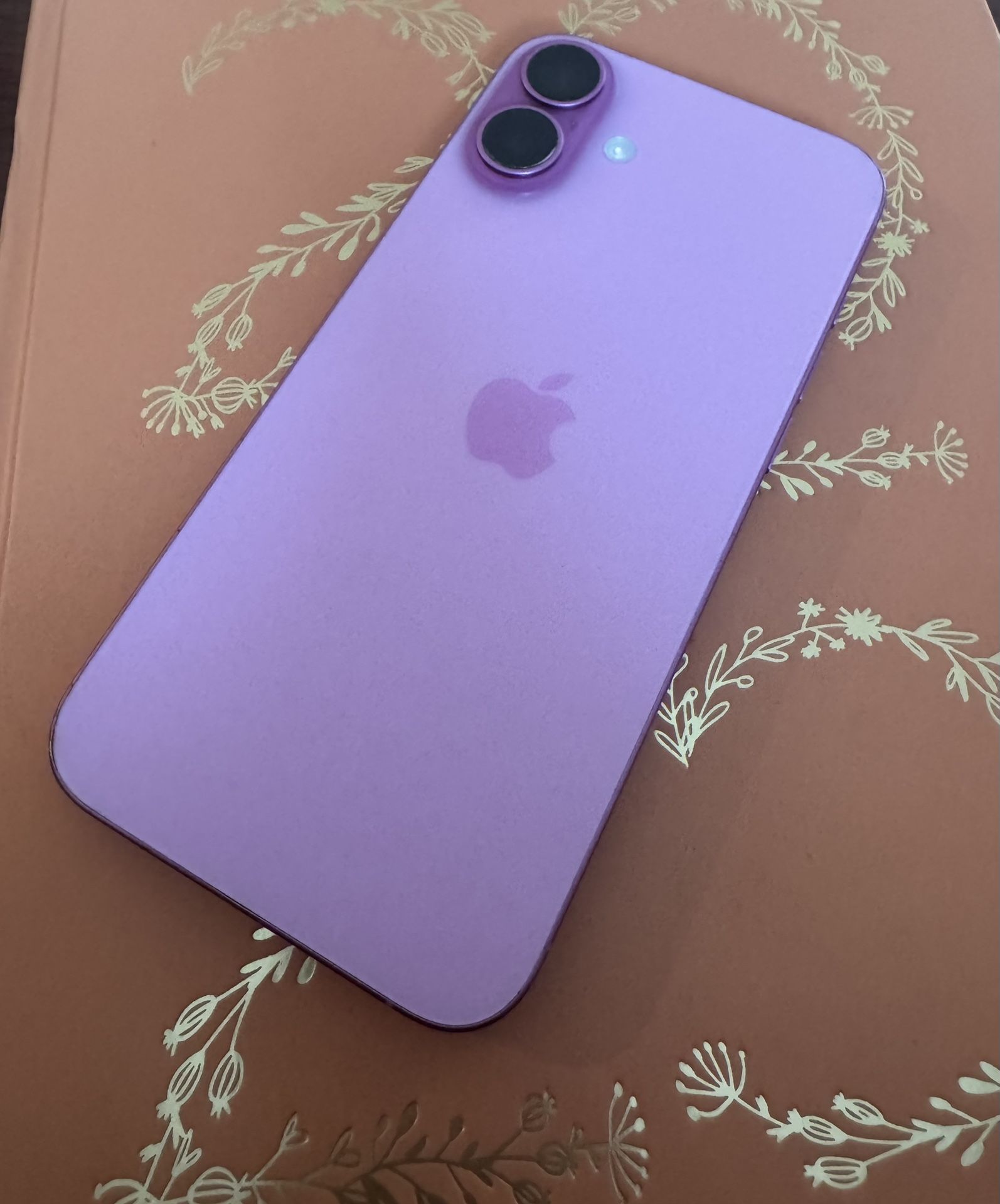 iPhone 16 Plus