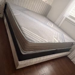 King mattress regular and box spring set (2pc - brand new) 