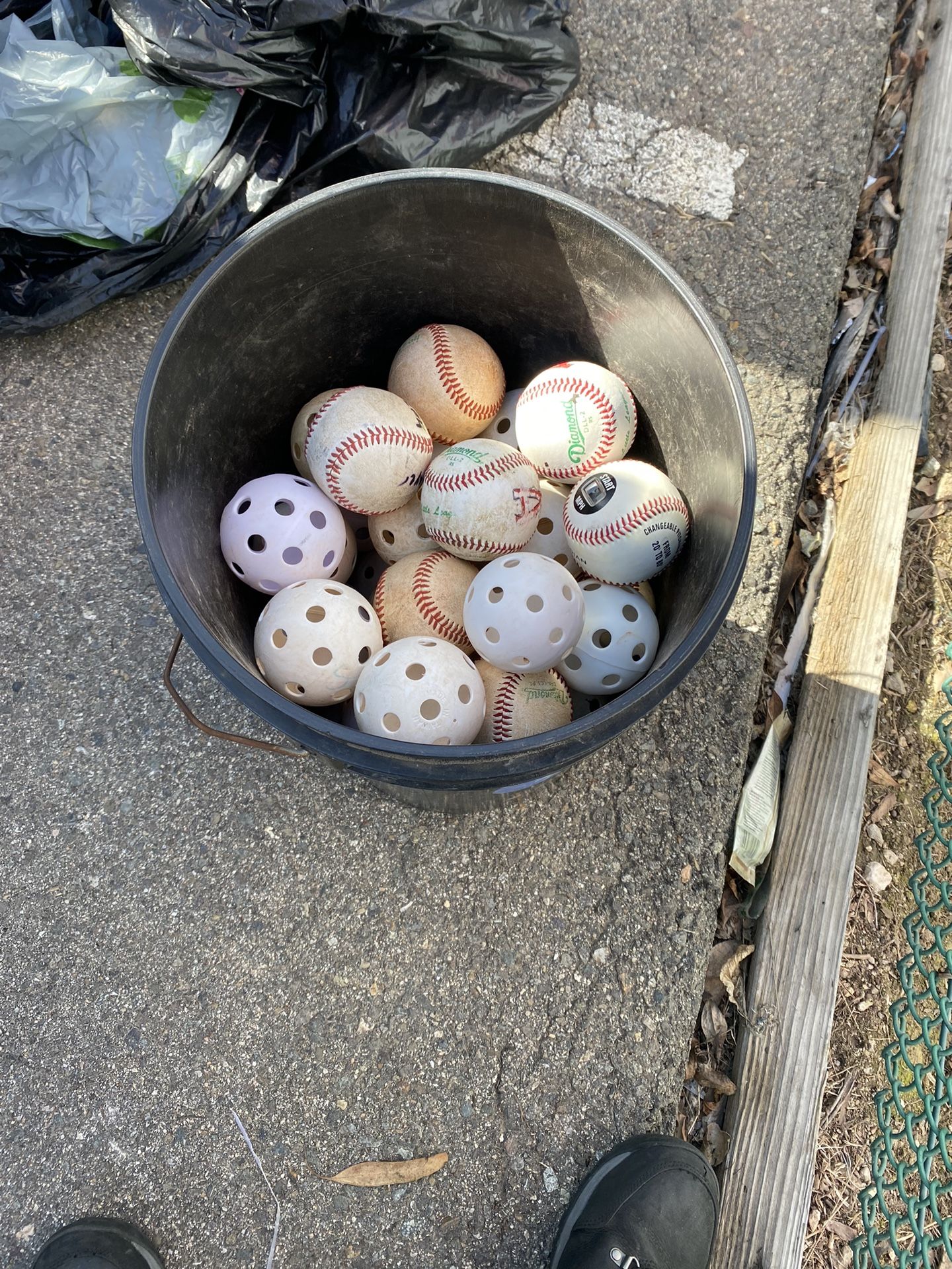 Baseball Bucket 