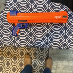 Nerf Dog Toy 