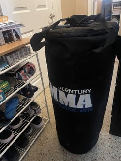 Punching Bag 