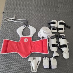 Taekwondo Sparring Gear 