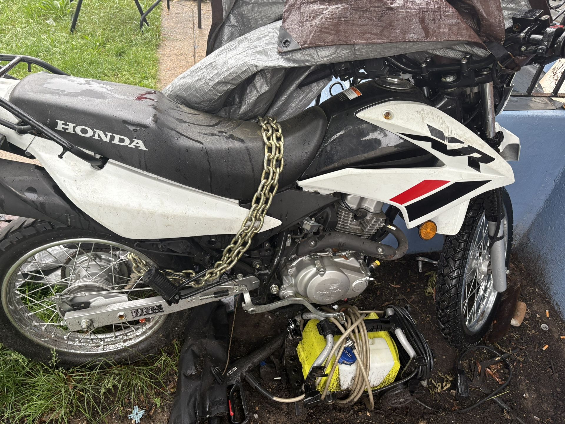 2024 Honda Xr150