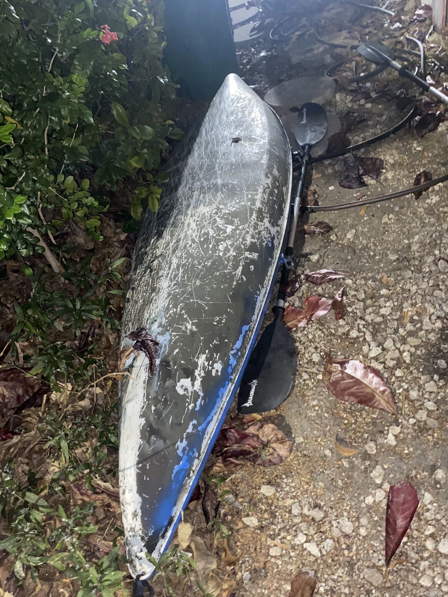 Pelican Kayak 