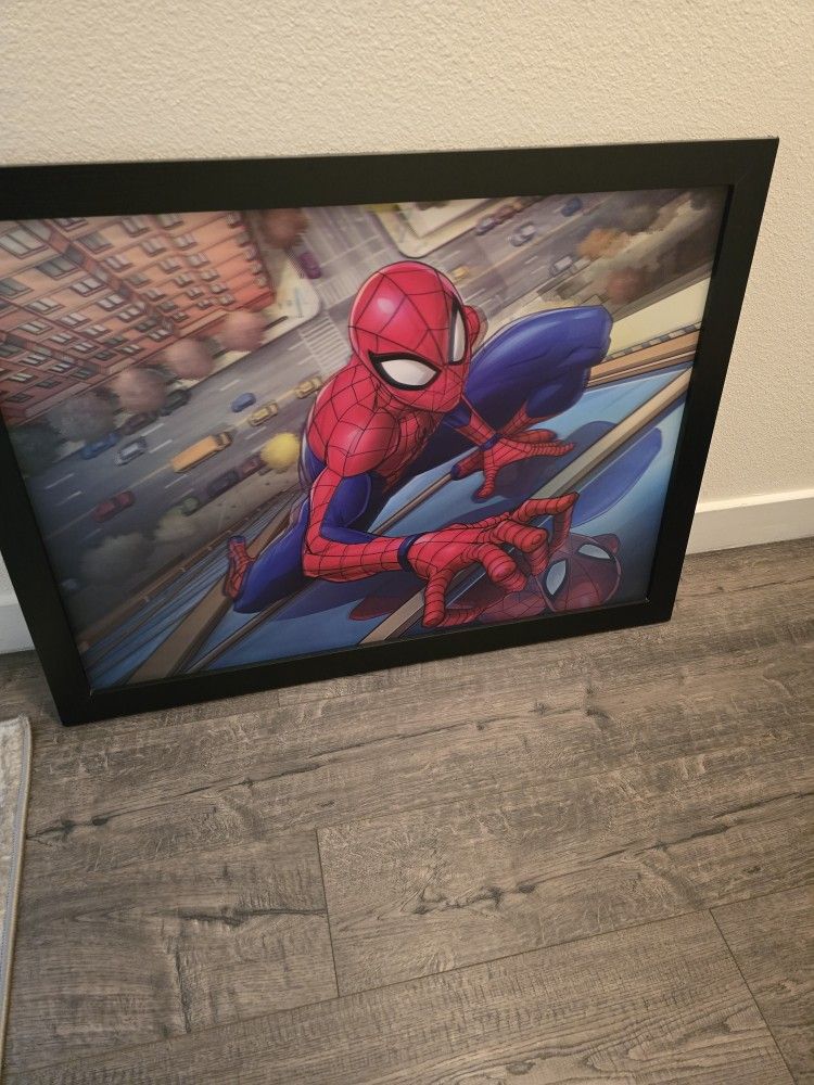 Spiderman Picture