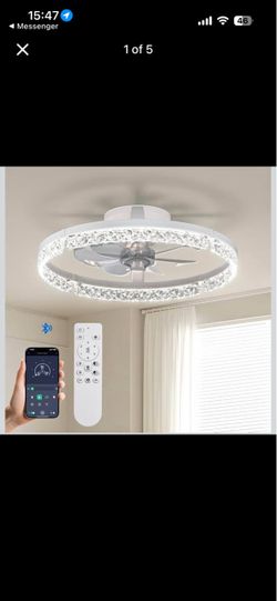 New Passky Caged Ceiling Fan with Light, Remote & App Control – White