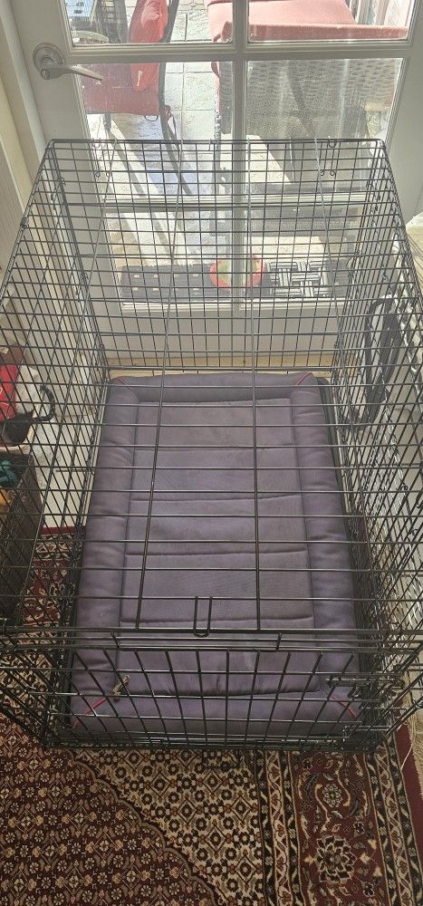 Large Dog Crate