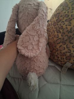 Bunny