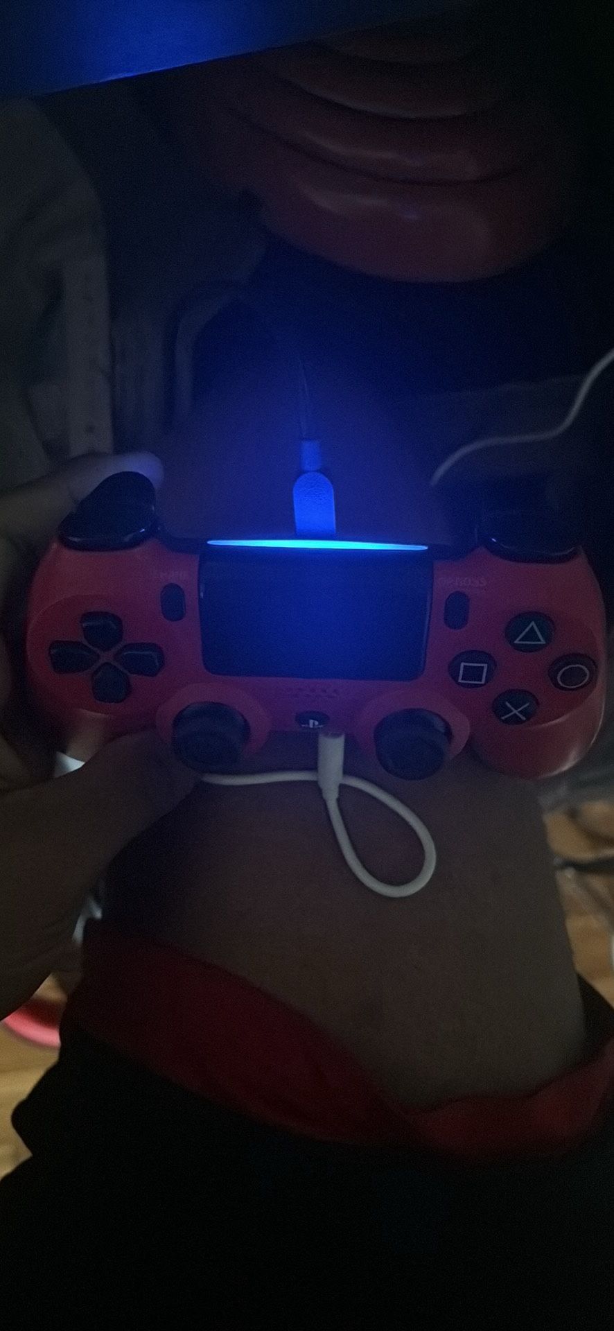 Limited Gold PS4 Read Dead