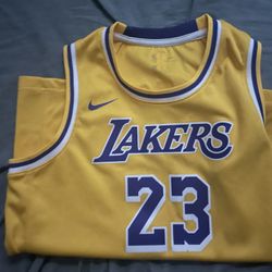 Lebron james lakers jersey 