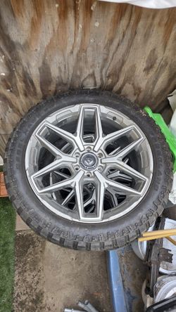 Rines 22s