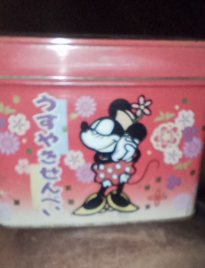 Tokyo Disney Sea Souvenir Tins Disney Minnie Mouse Empty Tins