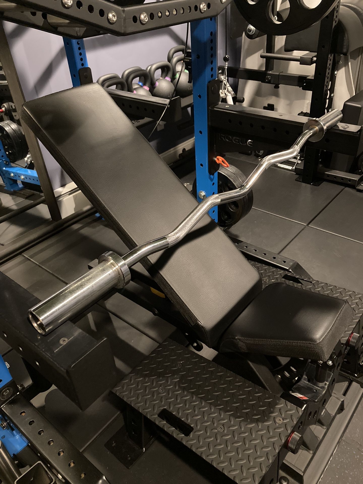 Brand New In Box Olympic Curl Bar